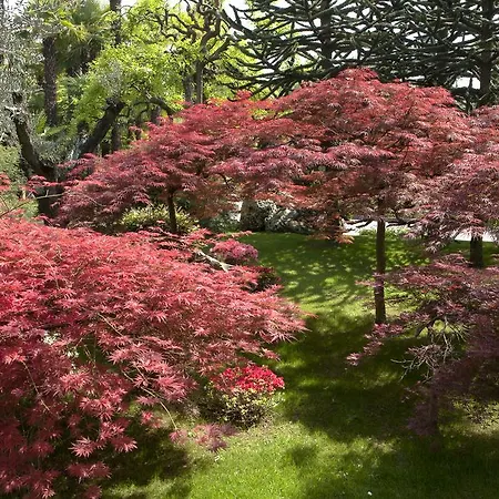 Szálloda Abano Grand 5*